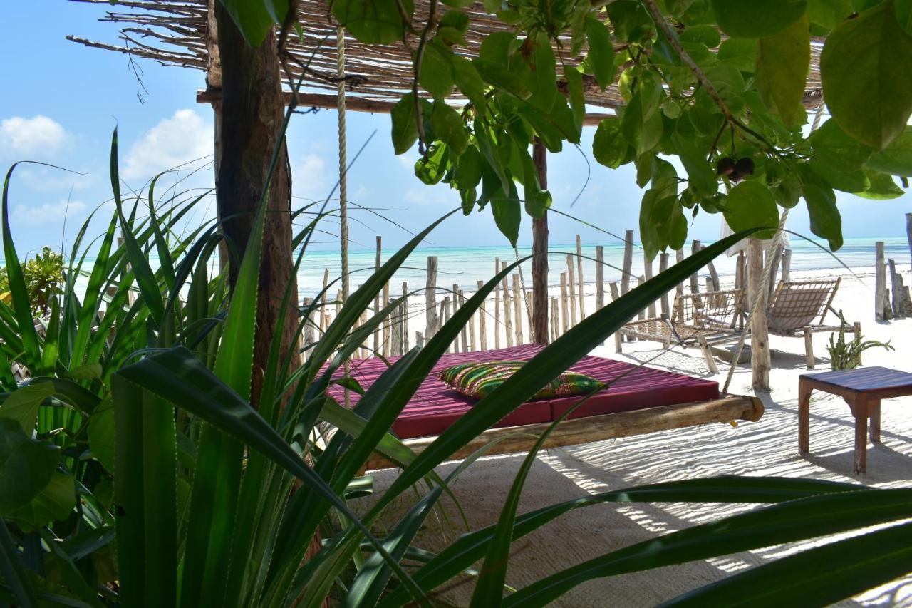 Hotel Meliks Jambiani  Esterno foto